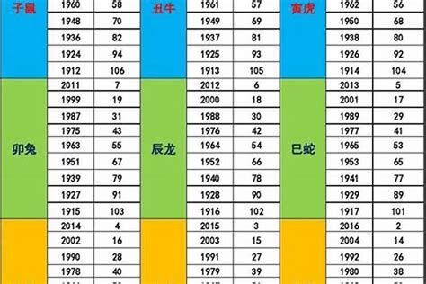 2023 五行年